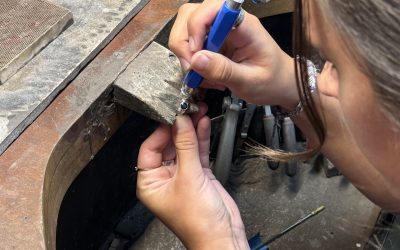 Molly’s Wylde work experience!