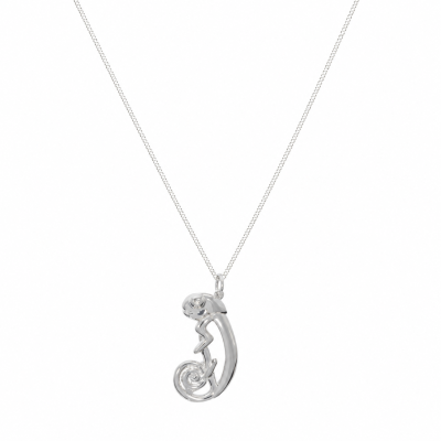 Small Wylde Chameleon Pendant